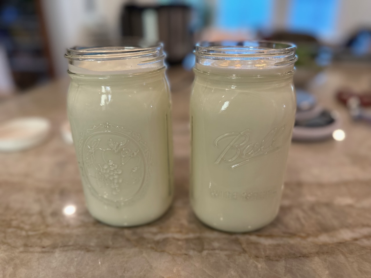 two quart-size glass jars filled with white fluid